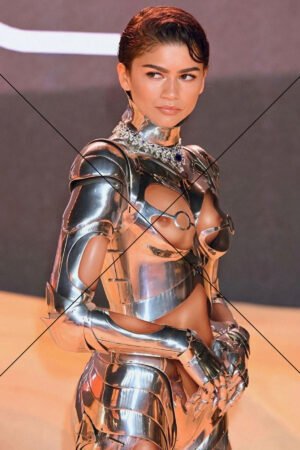 Zendaya Metallic Armour Side View Pose 6" x 4" Digital Download